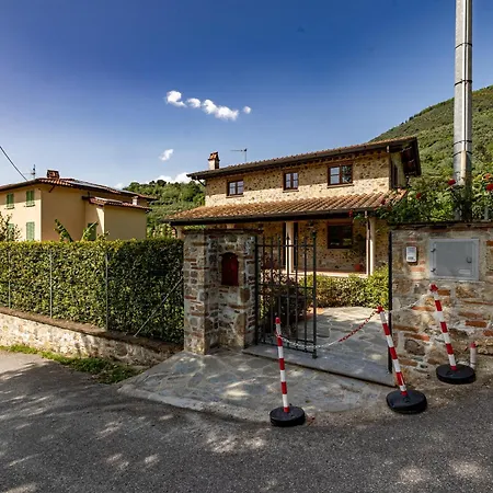 Vittoriano - Surrounded By Nature - Happy Camaiore